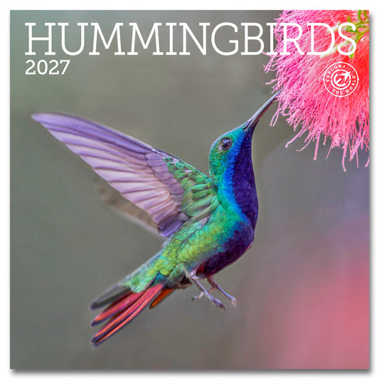 2027 Hummingbirds Mini Wall, 7" x 7"