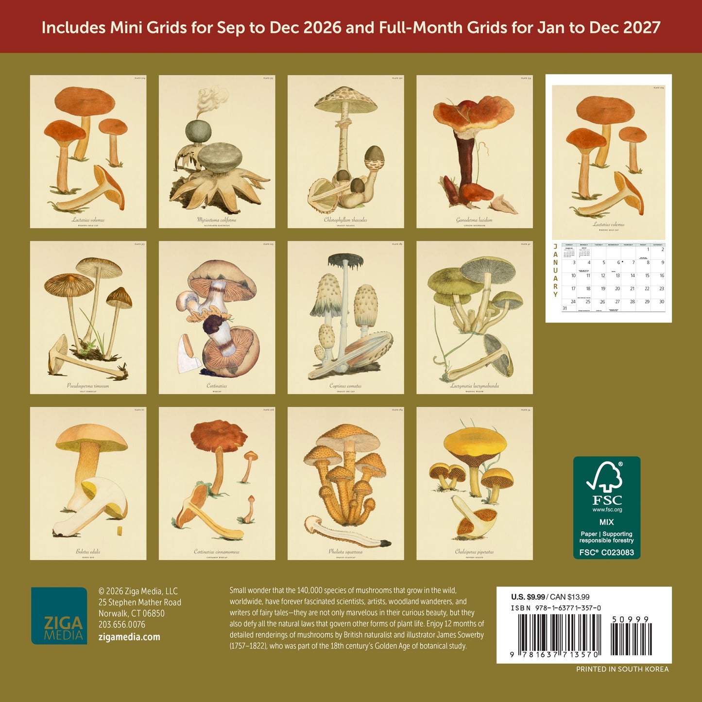 2027 Mushroom Botanical Prints Mini Wall, 7" x 7"