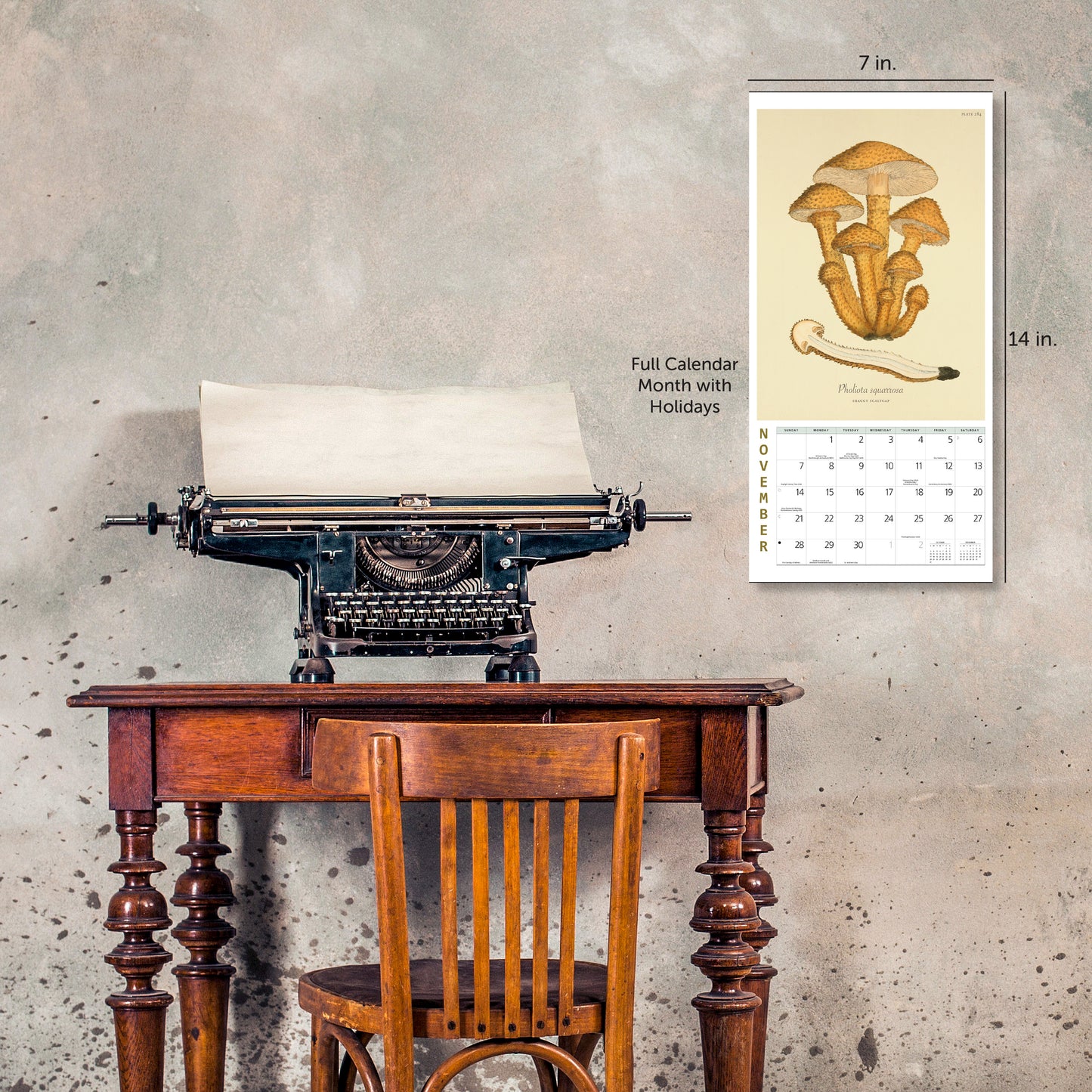 2027 Mushroom Botanical Prints Mini Wall, 7" x 7"
