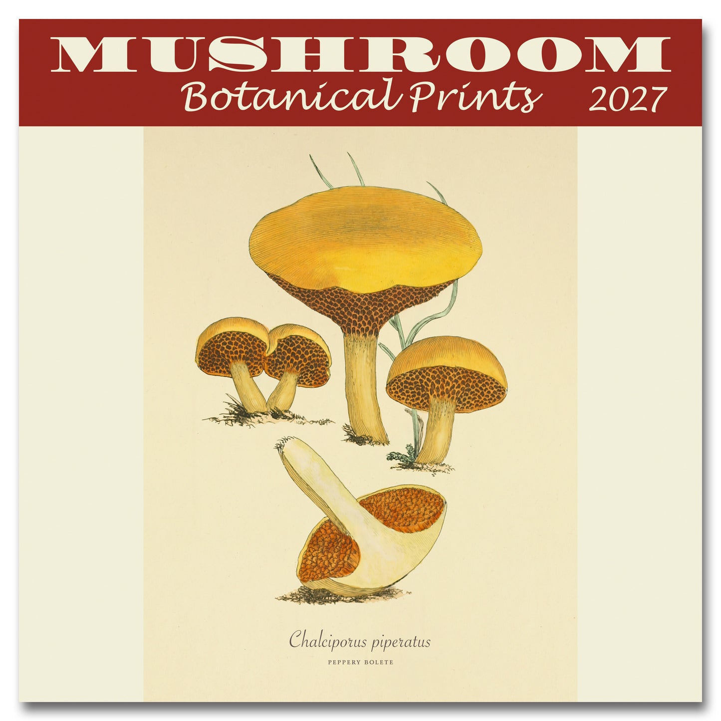 2027 Mushroom Botanical Prints Mini Wall, 7" x 7"