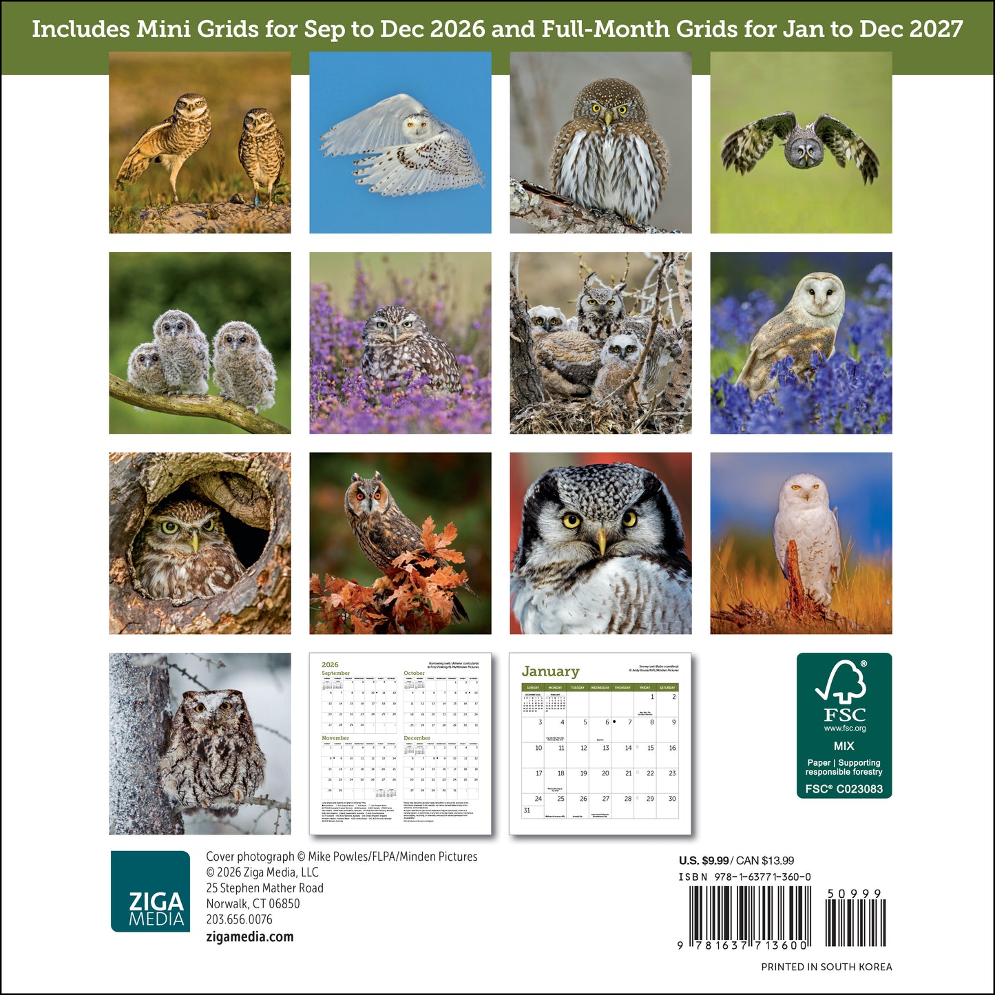 2027 Owls Mini Wall, 7" x 7"