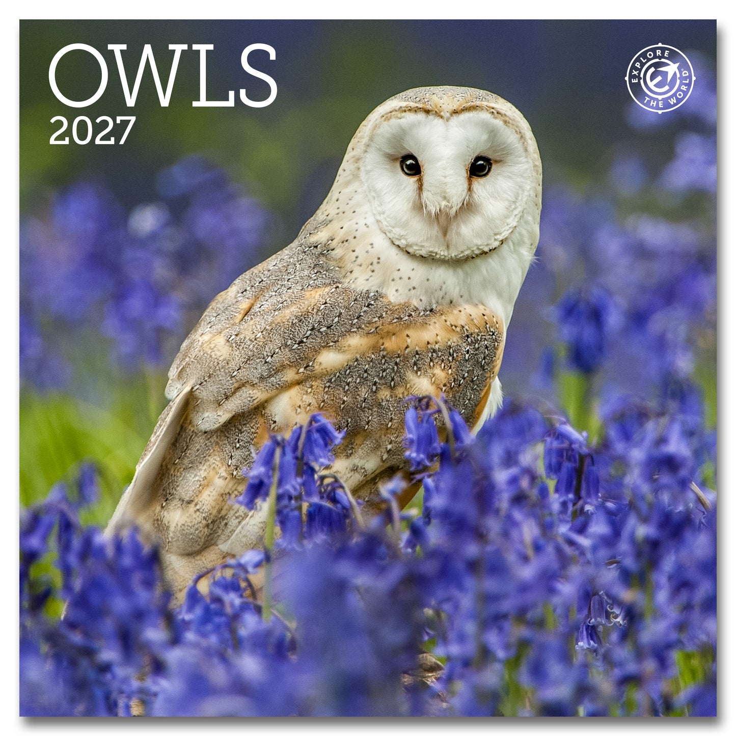 2027 Owls Mini Wall, 7" x 7"