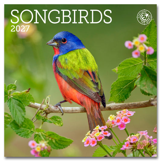 2027 Songbirds Mini Wall, 7" x 7"