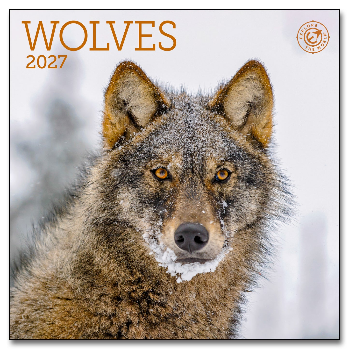 2027 Wolves Mini Wall, 7" x 7"