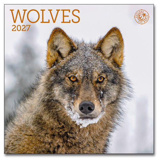 2027 Wolves Mini Wall, 7" x 7"