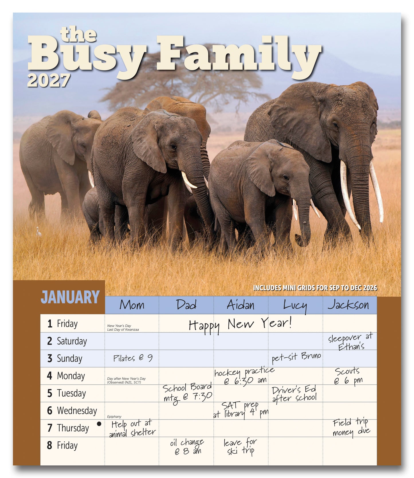 2027 Busy Family Wall Calendar, 12" x 14"