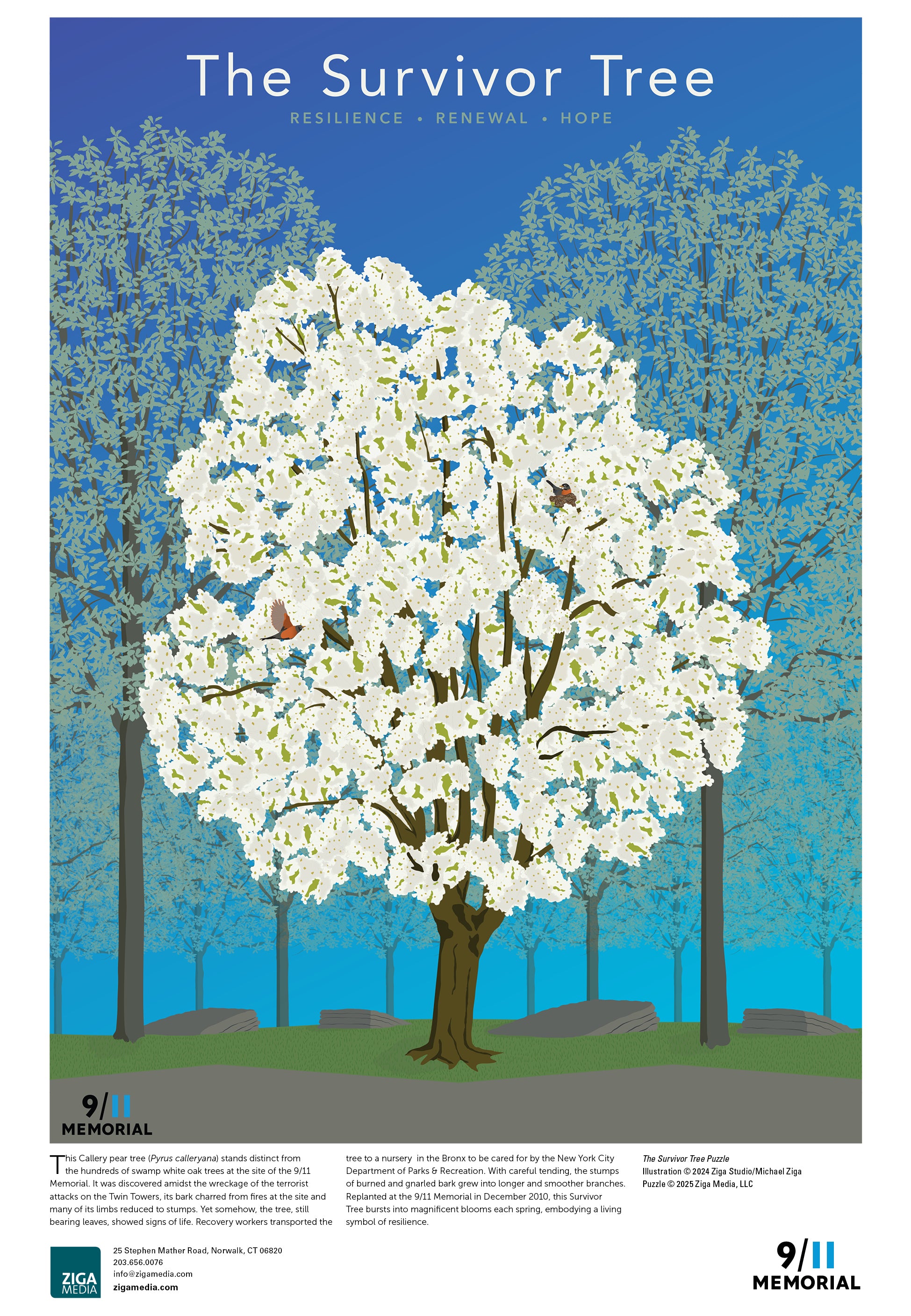 The Survivor Tree 1000 or 500 Piece Puzzle – Ziga Media