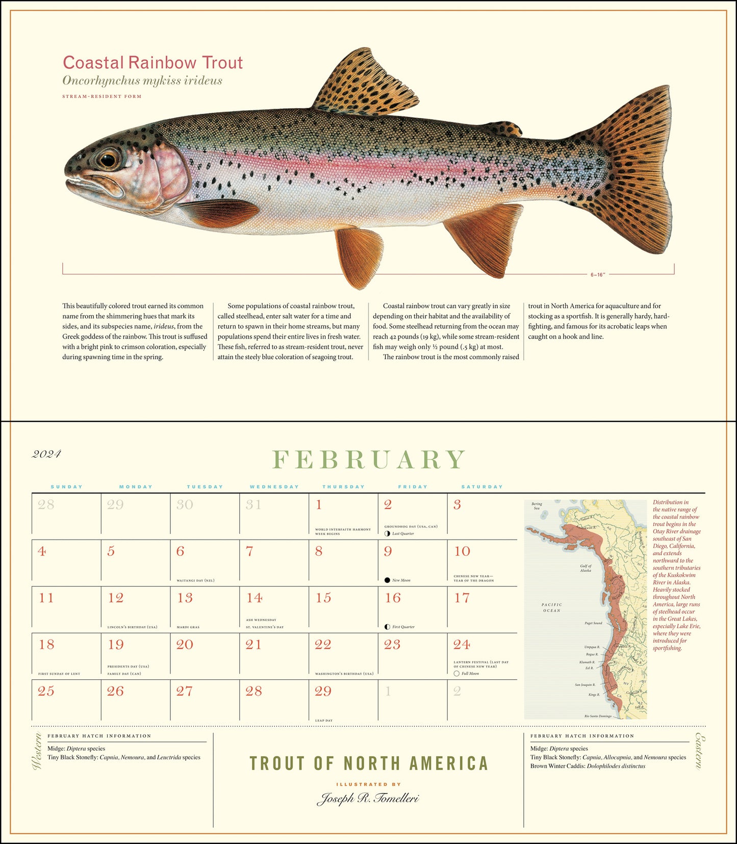 Trout of North America Wall Calendar 2024, Monthly January-December 14'' x 8"