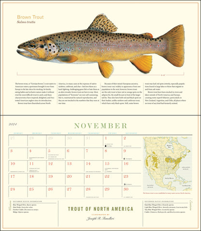 Trout of North America Wall Calendar 2024, Monthly January-December 14'' x 8"
