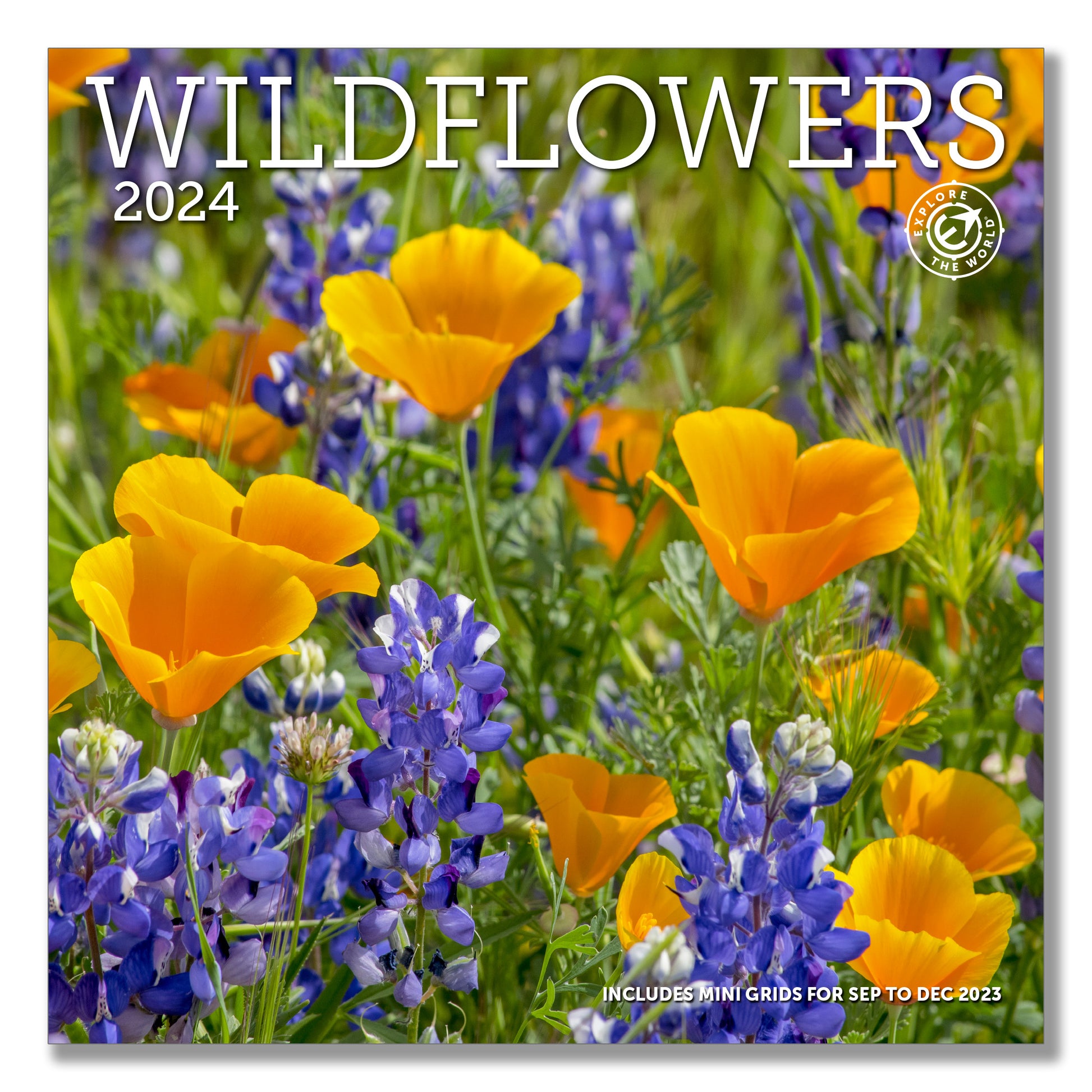 Wildflowers Wall Calendar 2024