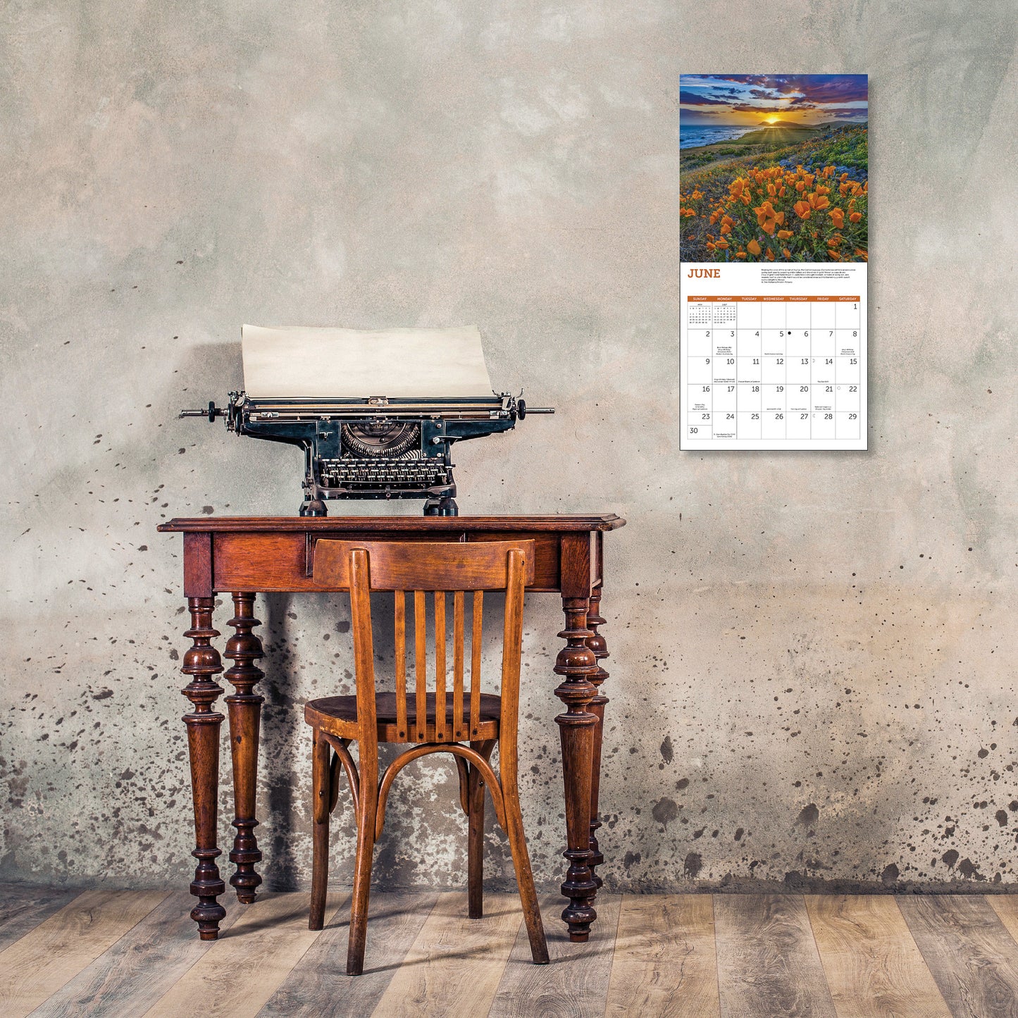 Wildflowers Wall Calendar 2024, Monthly January-December 12'' x 12"