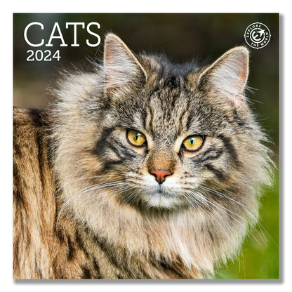Cats Mini Wall Calendar 2024, 7 x 7 – Ziga Media