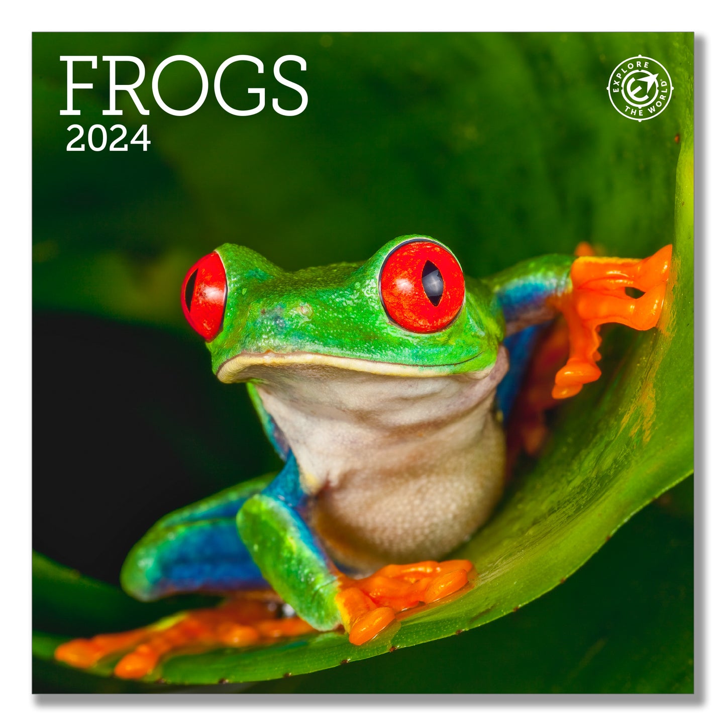 Frogs Mini Wall Calendar 2024