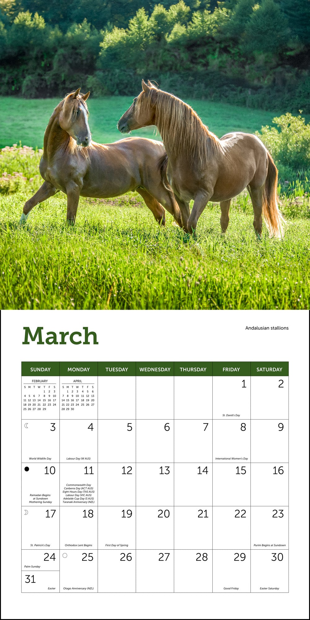 Horses Mini Wall Calendar 2024, 7