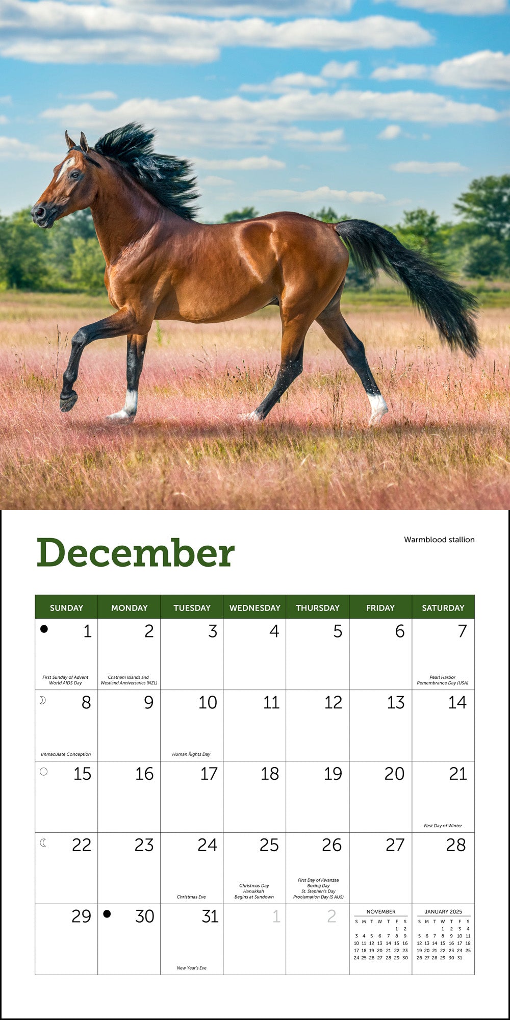Horses Mini Wall Calendar
