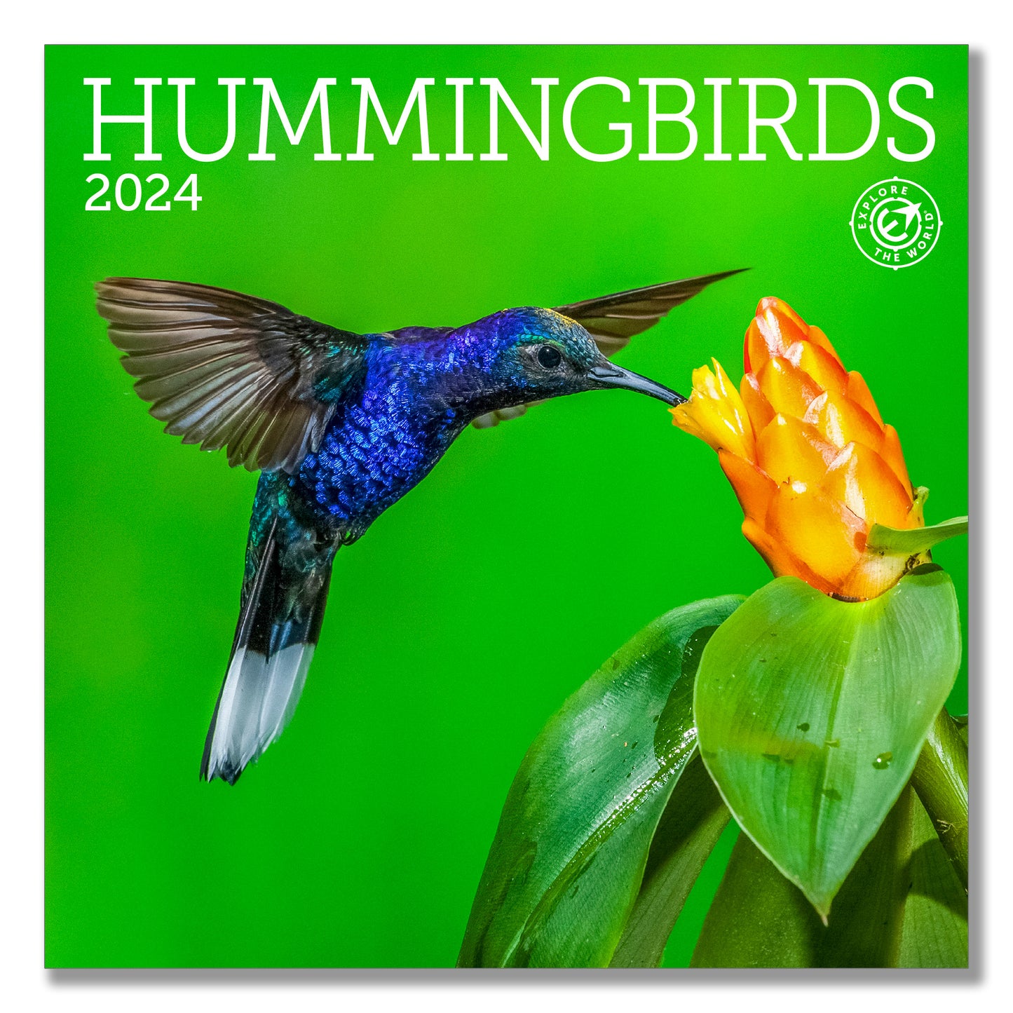 Hummingbirds Mini Wall Calendar 2024