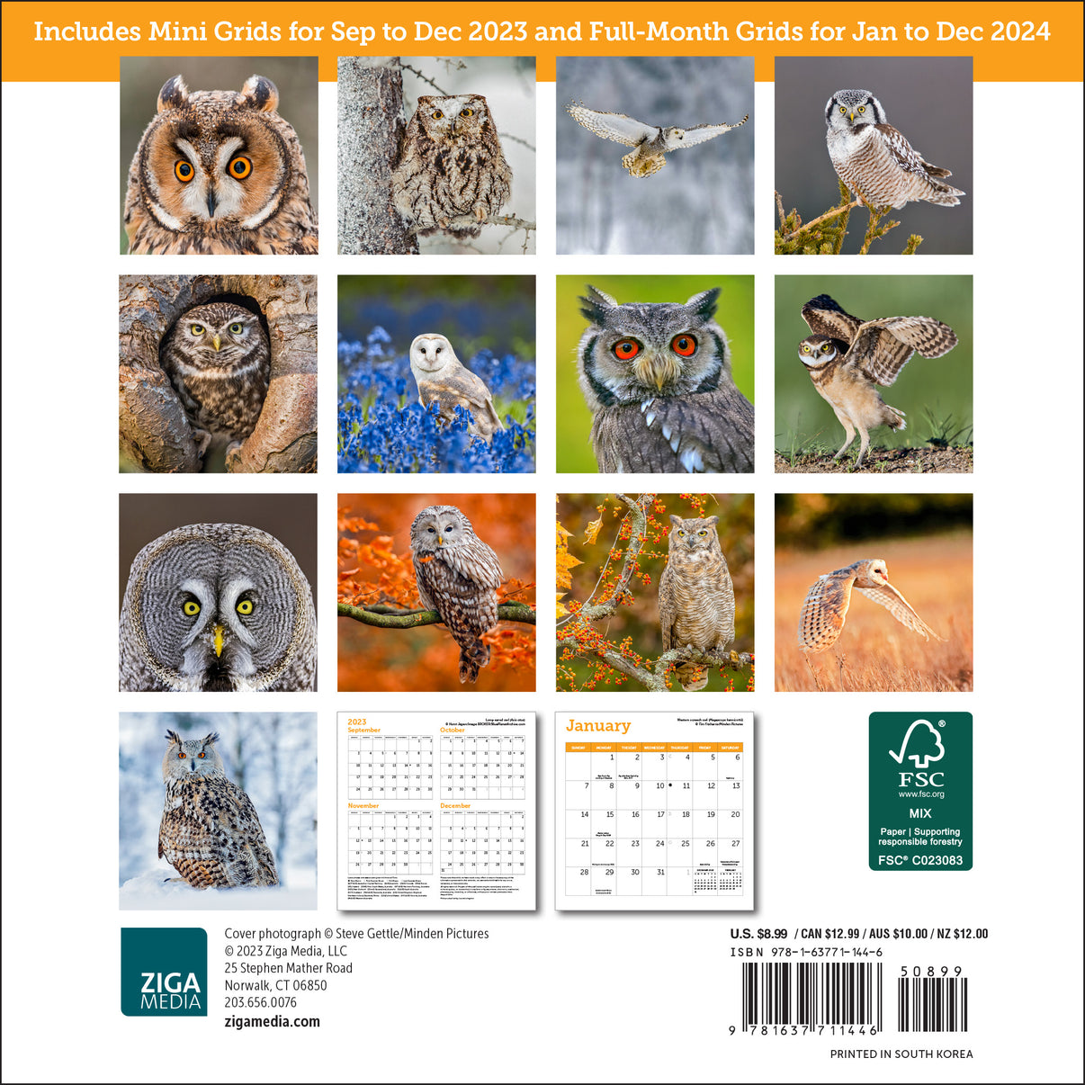 Owls Mini Wall Calendar 2024, 7" x 7" Ziga Media