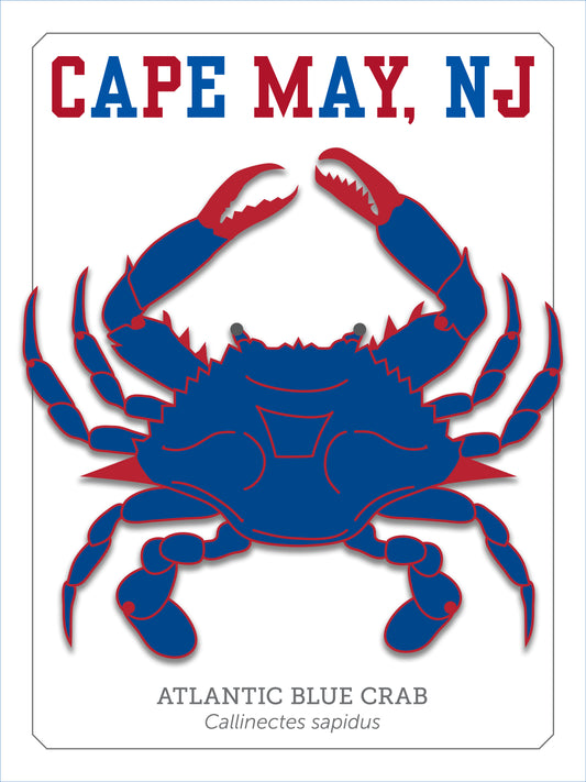 Cape May Blue Crab Print